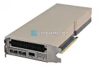 NVIDIA Tesla Ampere A100 и A30 — купить ускоритель для ИИ и HPC в «СервакМастер»