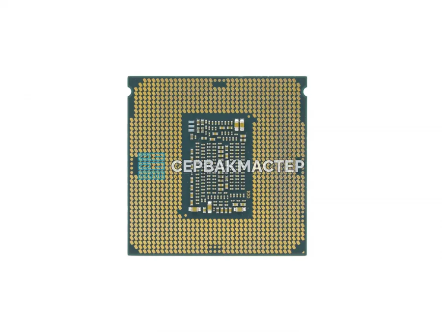 Intel Xeon E-2236 — 6 ядер, 4.8 ГГц, ECC DDR4: купить в «СервакМастер»