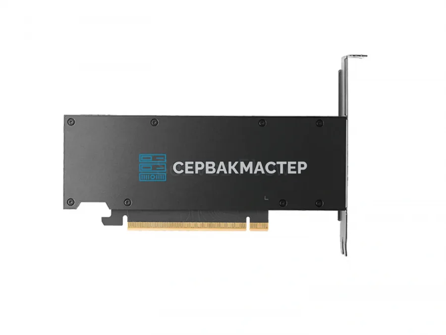 Видеокарта NVIDIA RTX PRO 2000 Blackwell 16GB GDDR7 [900-5G195-2250-000]