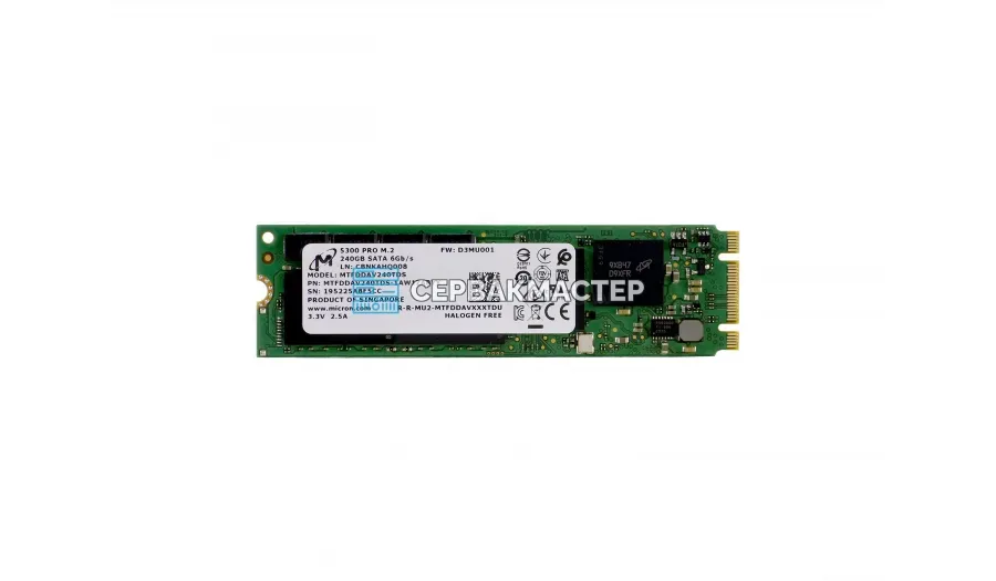 SSD-накопитель Micron 5300 PRO 240GB M2 [MTFDDAV240TDS-1AW15ABYY]