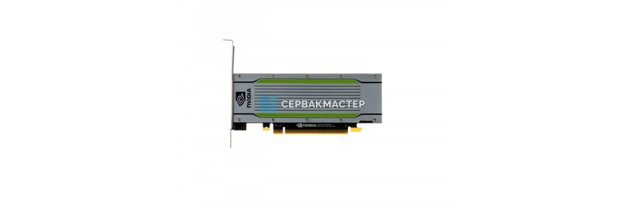 NVIDIA Tesla Turing — GPU-ускорители T4 и T10 для ИИ и HPC купить в «СервакМастер»