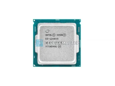 Intel Xeon E3 1240v5 (4c/8t, 3.5-3.9 GHz, LGA1151, 80W) — купить в СервакМастер