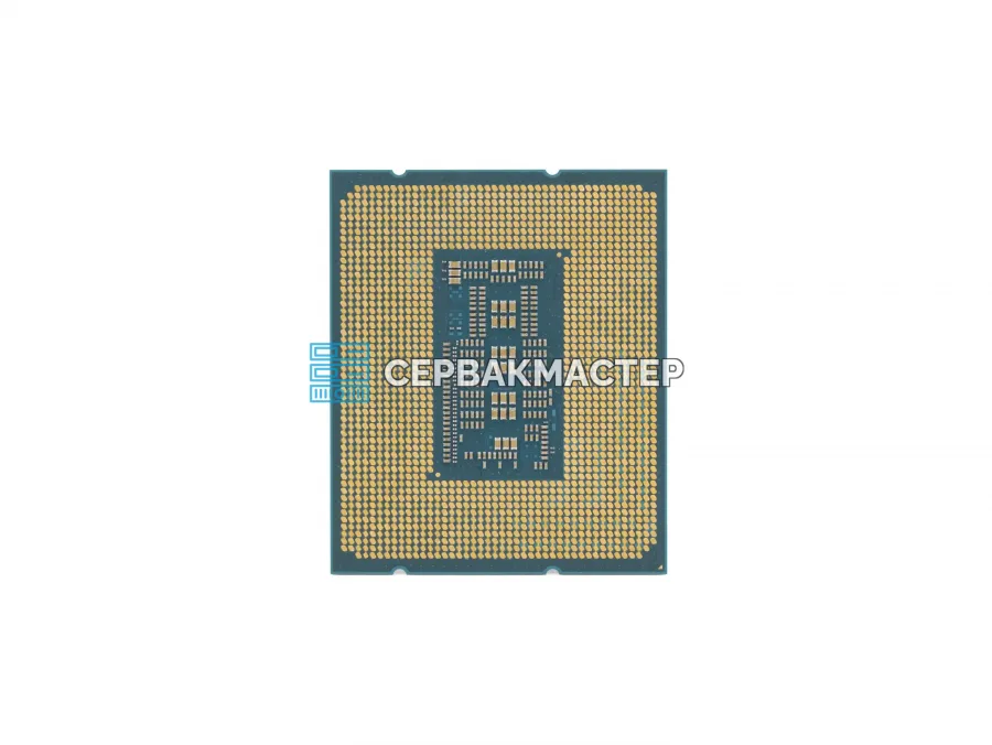 Intel Xeon E-2488 SRMX6/CM8071505024520 (8c/16t, 3.2-5.6GHz, LGA1700, 95W) — купить в СервакМастер