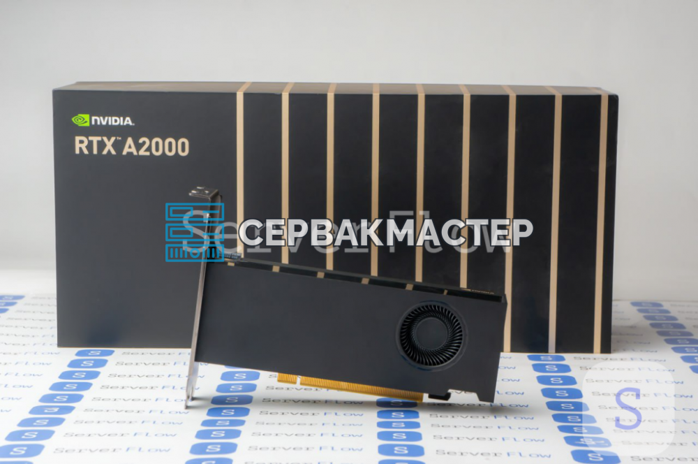 Nvidia Quadro и RTX PRO: чем профессиональные видеокарты отличаются от GeForce и как их выбрать