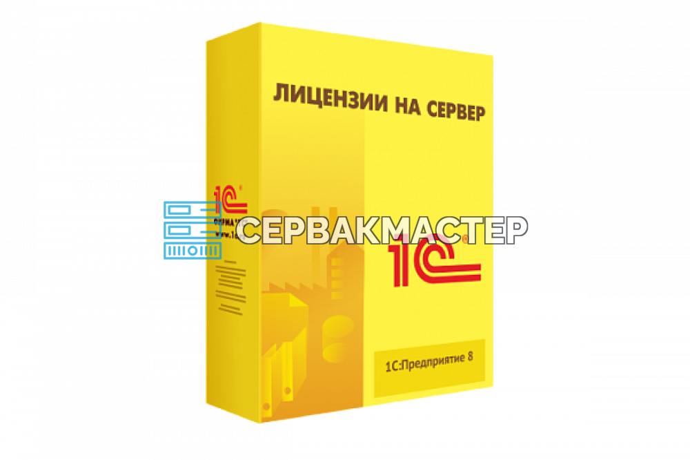 Виды лицензий 1С: чем отличаются и какую выбрать бизнесу